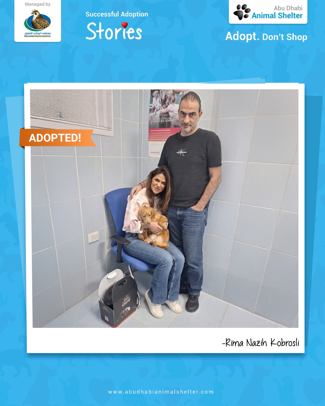 قصص سعيدة لتبني الحيوانات الأليفة لدينا