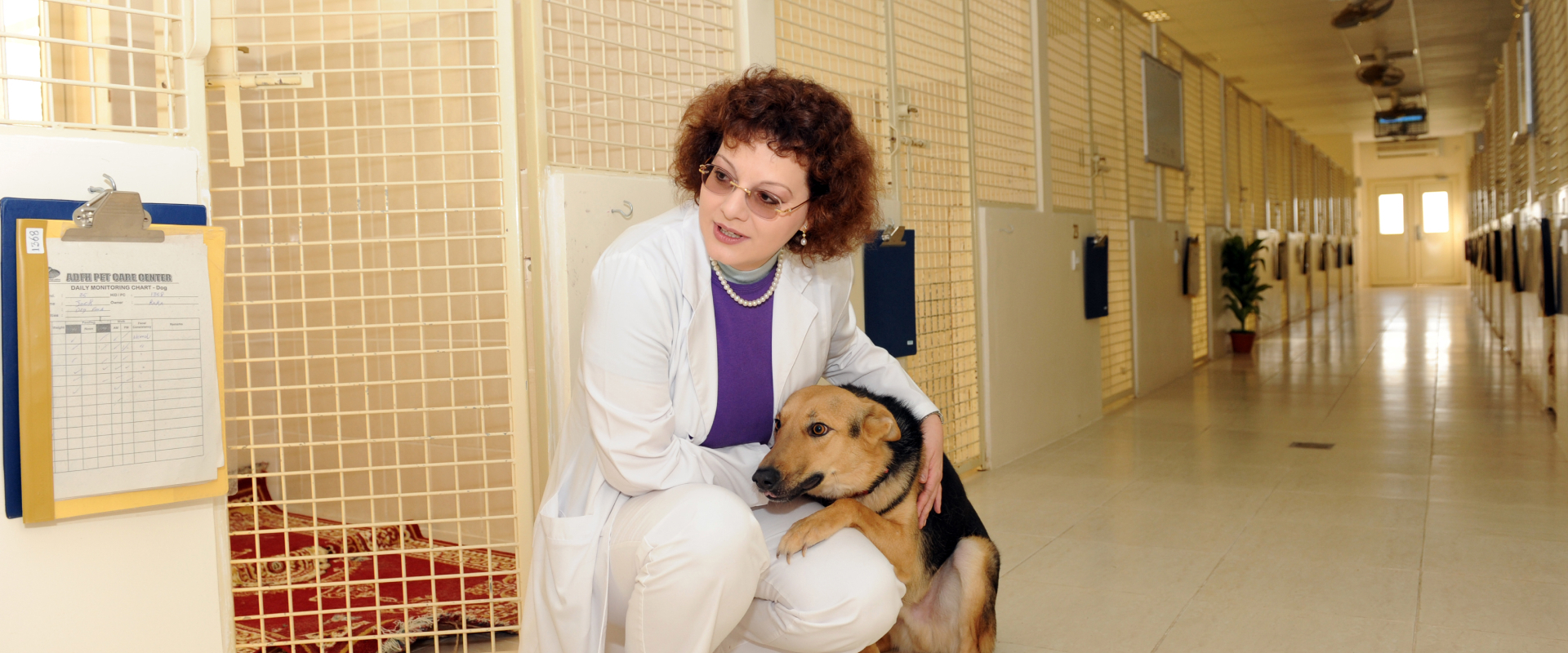 مرافق ملجأ أبوظبي للحيوانات السائبة