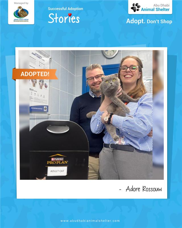 قصص سعيدة لتبني الحيوانات الأليفة لدينا