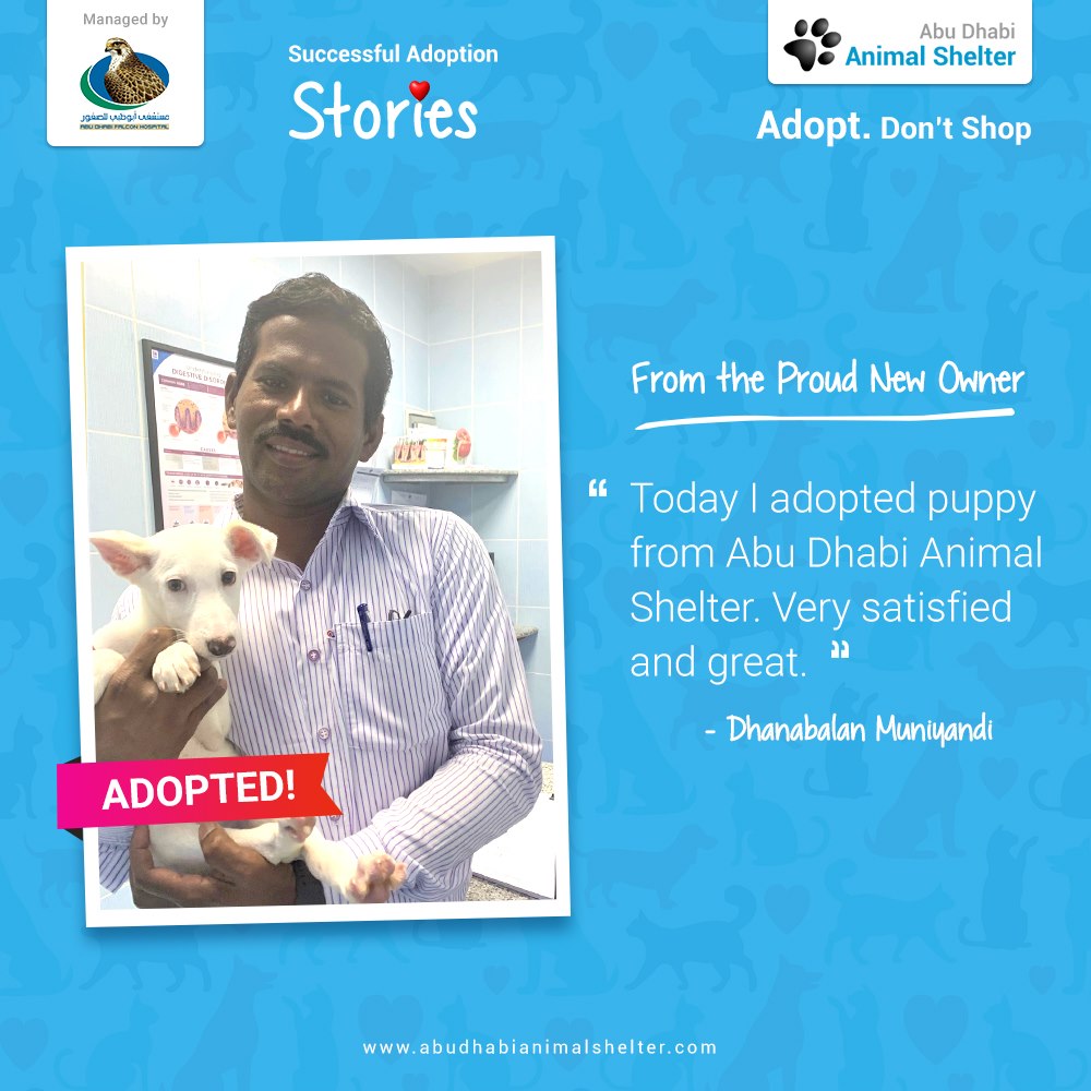 قصص سعيدة لتبني الحيوانات الأليفة لدينا