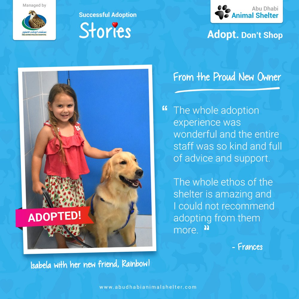 قصص سعيدة لتبني الحيوانات الأليفة لدينا