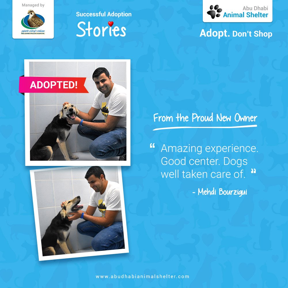 قصص سعيدة لتبني الحيوانات الأليفة لدينا