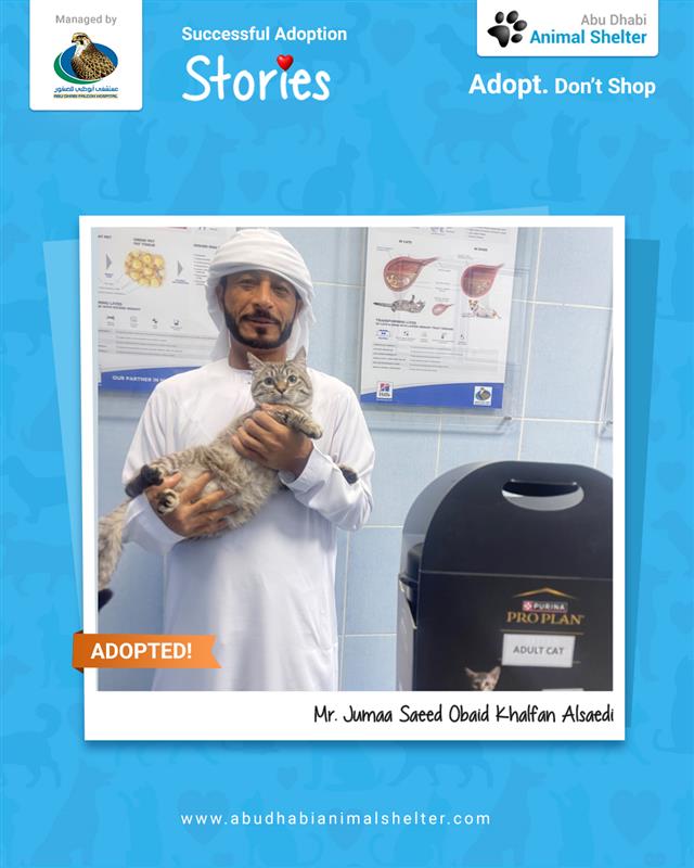 قصص سعيدة لتبني الحيوانات الأليفة لدينا