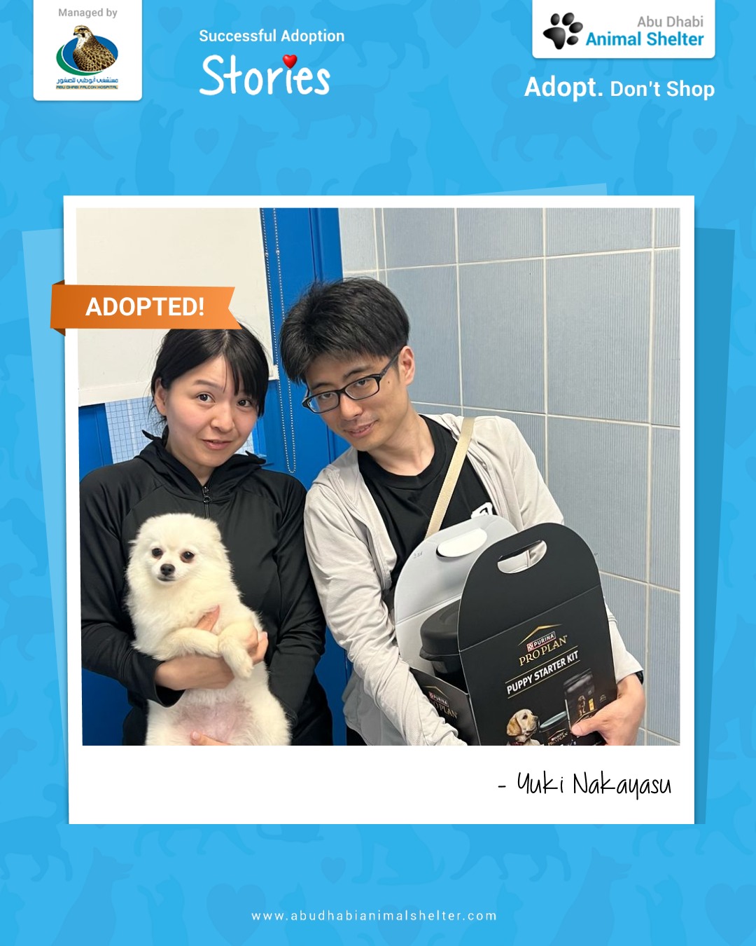 قصص سعيدة لتبني الحيوانات الأليفة لدينا