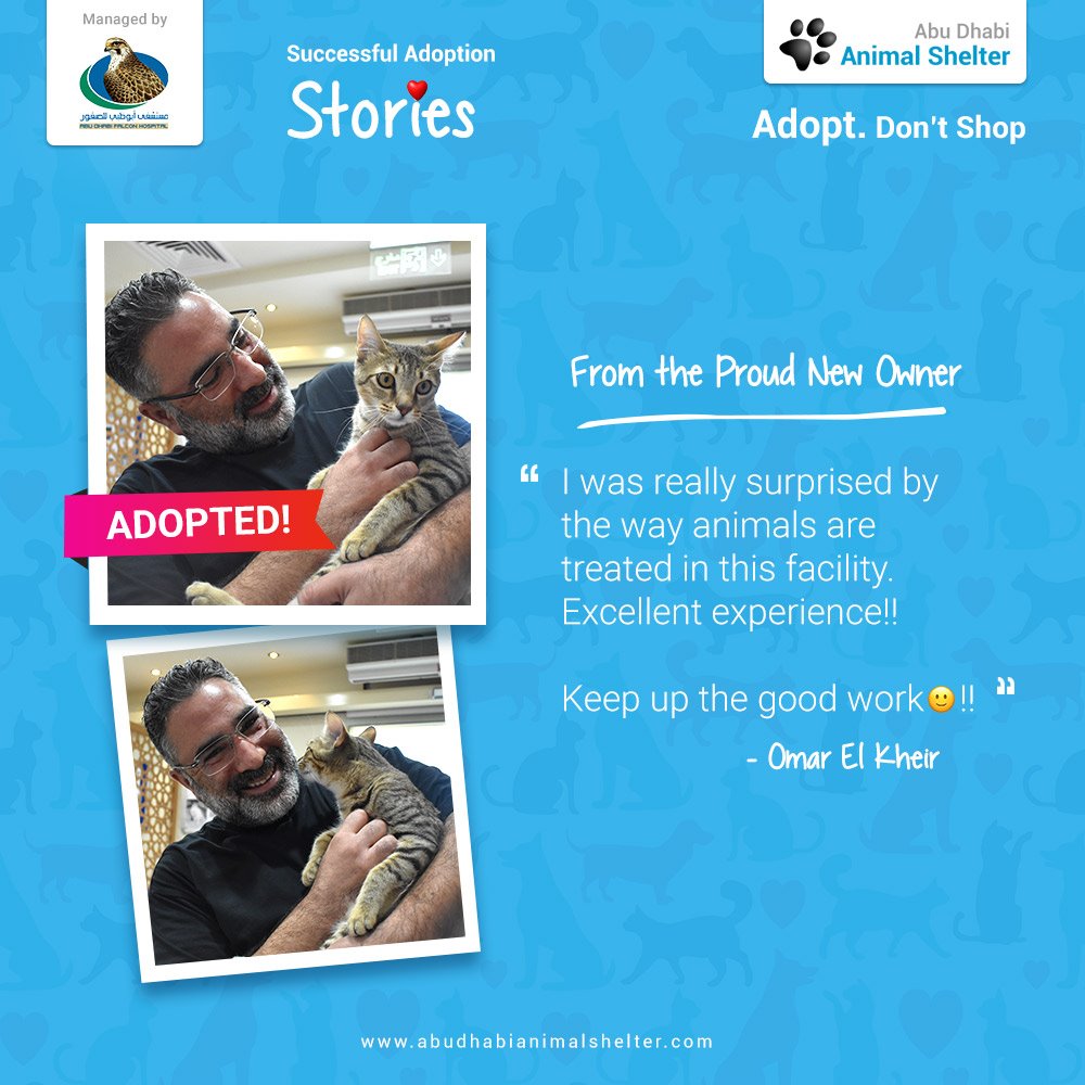 قصص سعيدة لتبني الحيوانات الأليفة لدينا