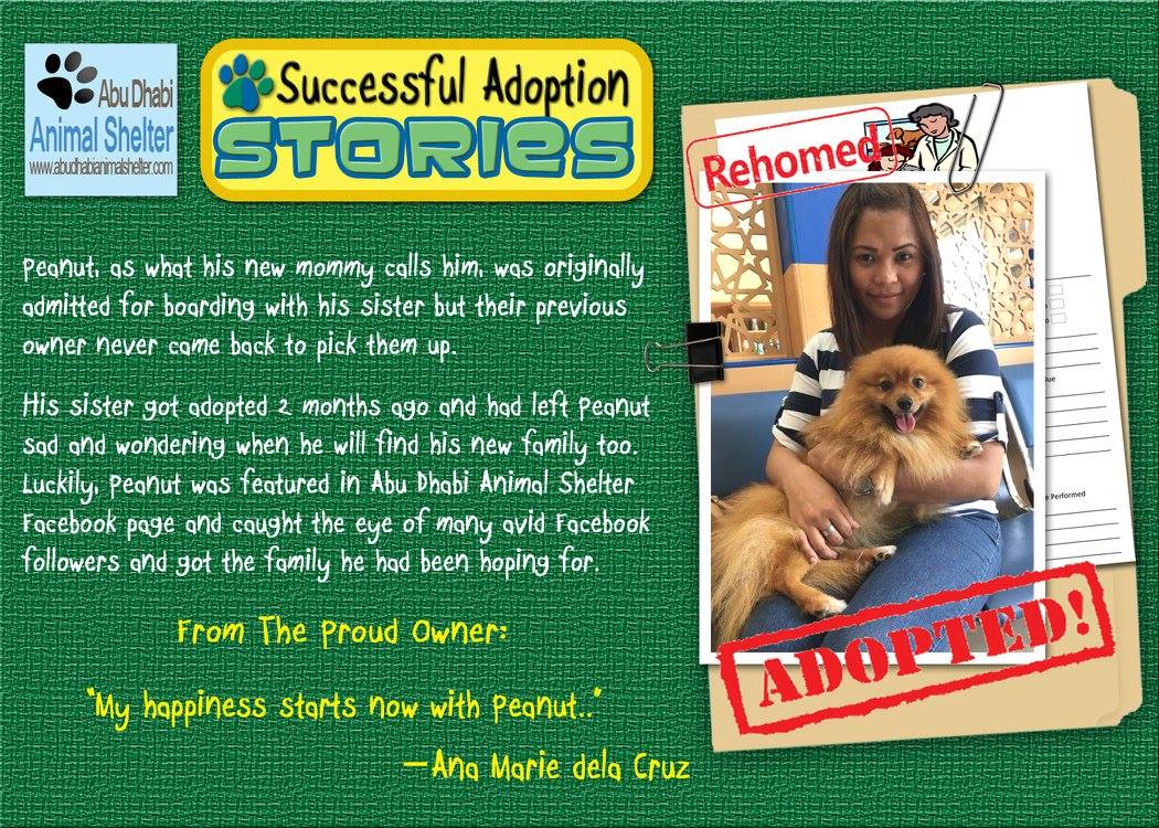 قصص سعيدة لتبني الحيوانات الأليفة لدينا