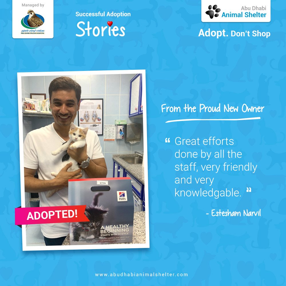 قصص سعيدة لتبني الحيوانات الأليفة لدينا