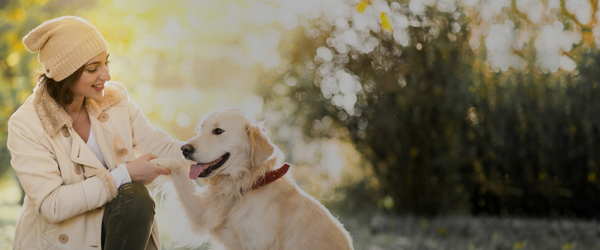 Happily Adopted Pets