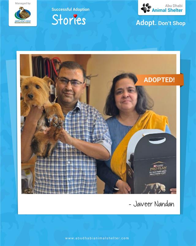 قصص سعيدة لتبني الحيوانات الأليفة لدينا