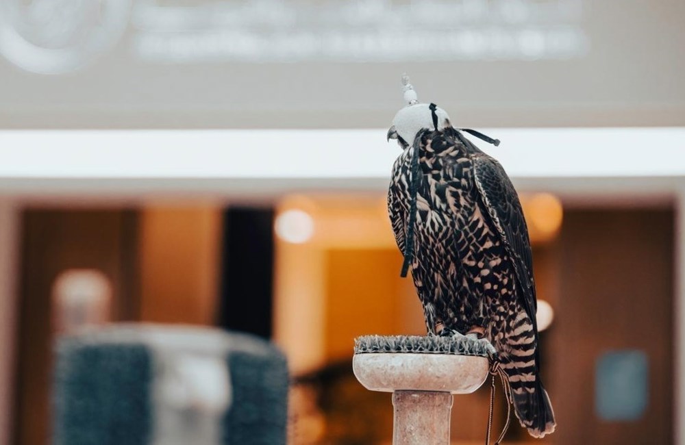 «الصقار الأول» يثري مسيرة نجاح وريادة «معرض أبوظبي للصيد والفروسية»