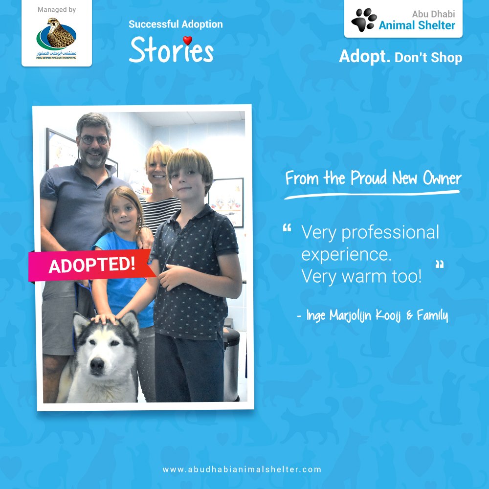 قصص سعيدة لتبني الحيوانات الأليفة لدينا