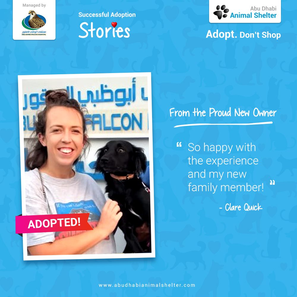 قصص سعيدة لتبني الحيوانات الأليفة لدينا