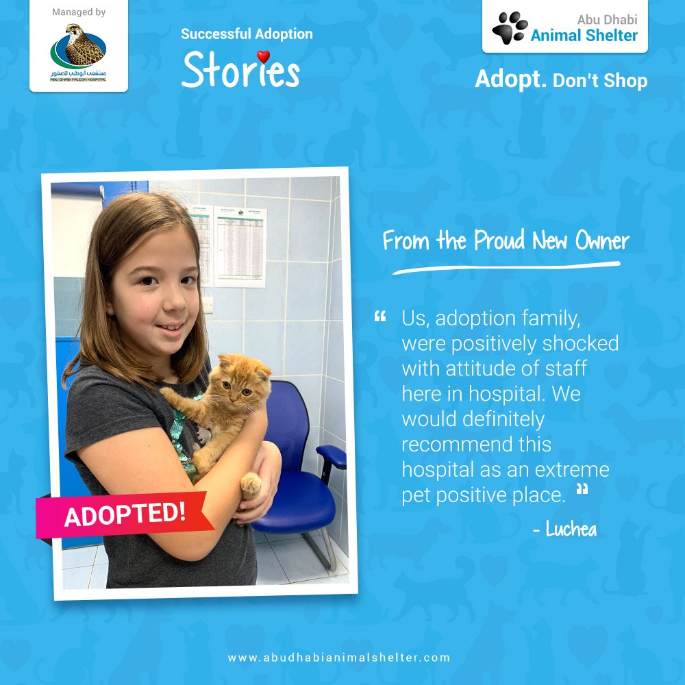 قصص سعيدة لتبني الحيوانات الأليفة لدينا