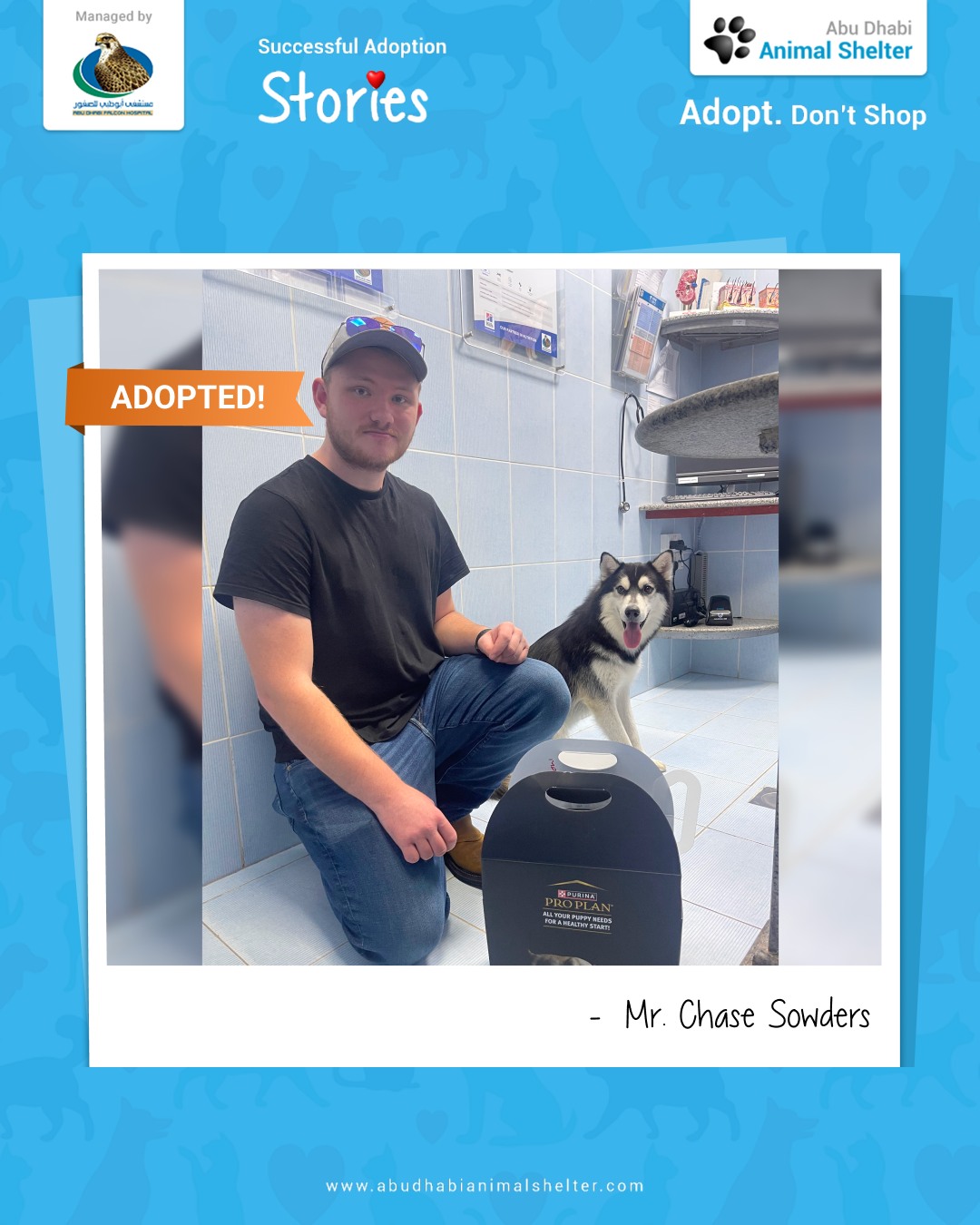 قصص سعيدة لتبني الحيوانات الأليفة لدينا