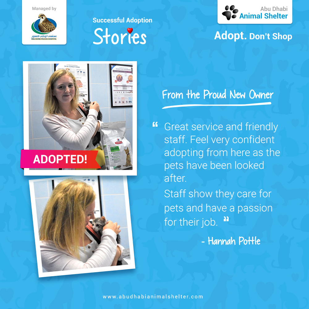 قصص سعيدة لتبني الحيوانات الأليفة لدينا