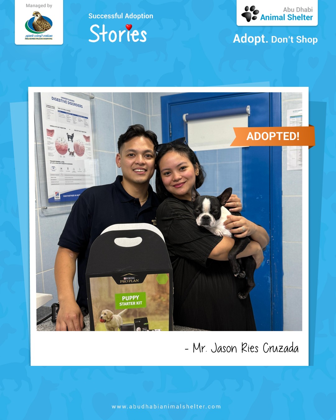 قصص سعيدة لتبني الحيوانات الأليفة لدينا