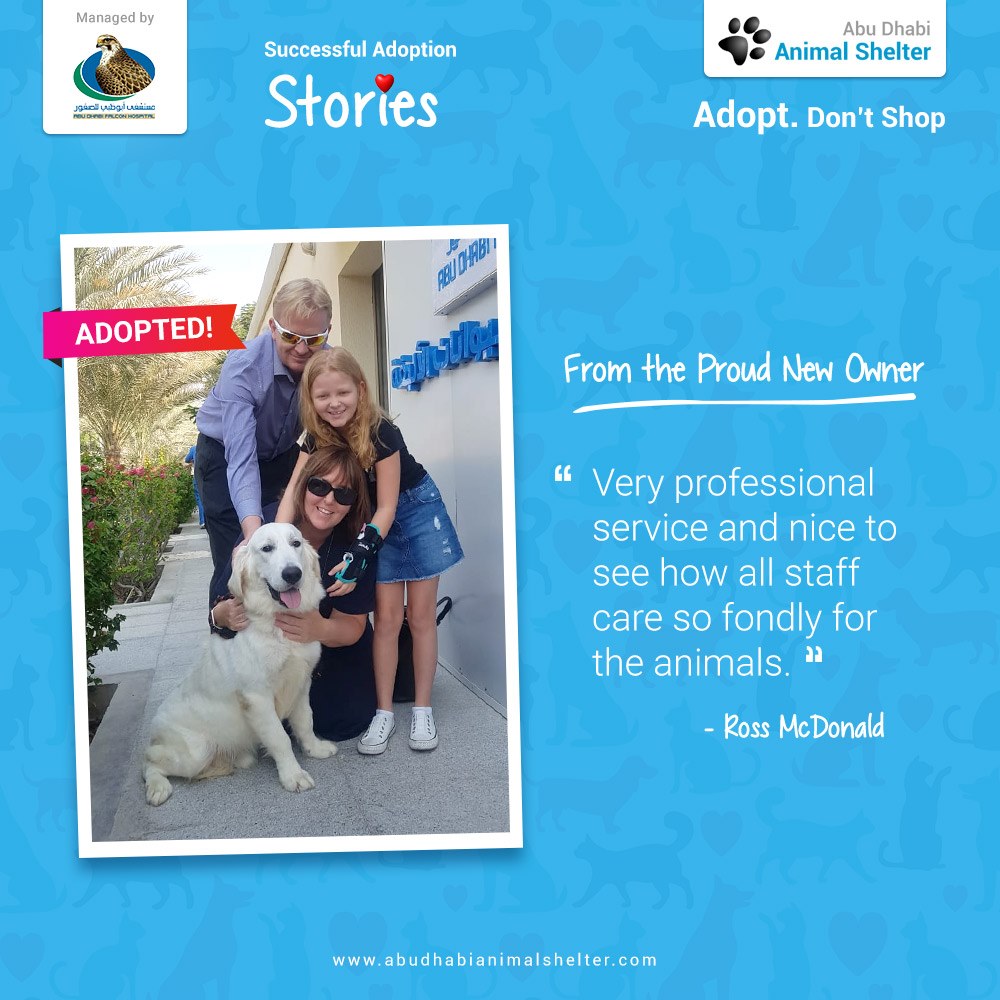 قصص سعيدة لتبني الحيوانات الأليفة لدينا