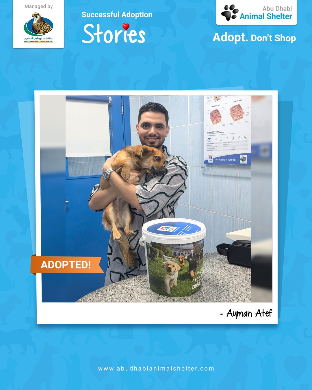 قصص سعيدة لتبني الحيوانات الأليفة لدينا