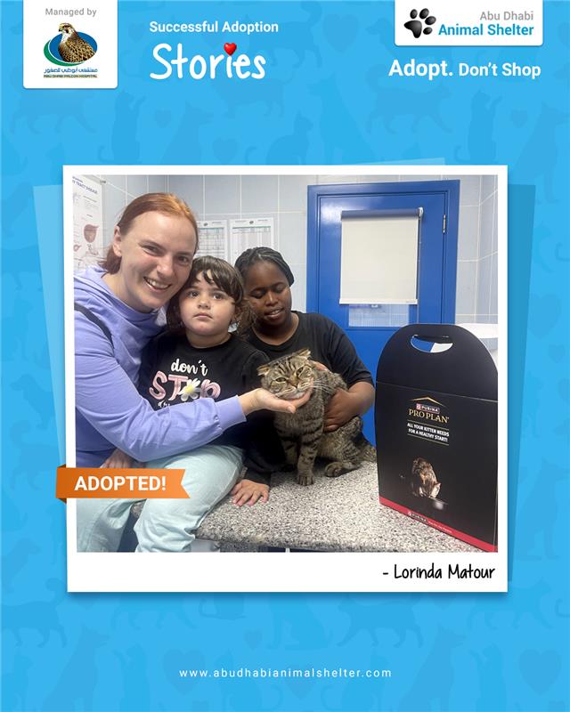 قصص سعيدة لتبني الحيوانات الأليفة لدينا