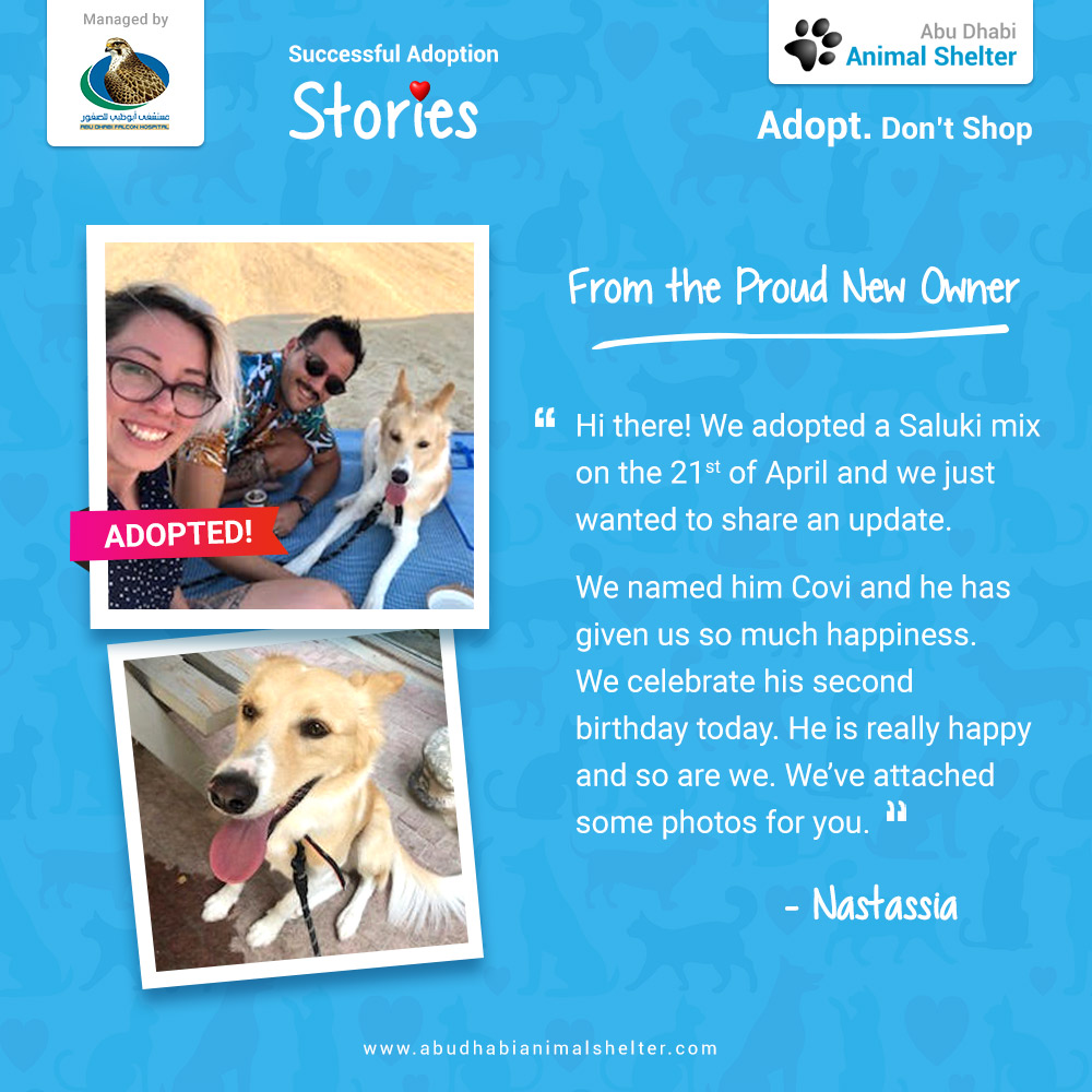 قصص سعيدة لتبني الحيوانات الأليفة لدينا