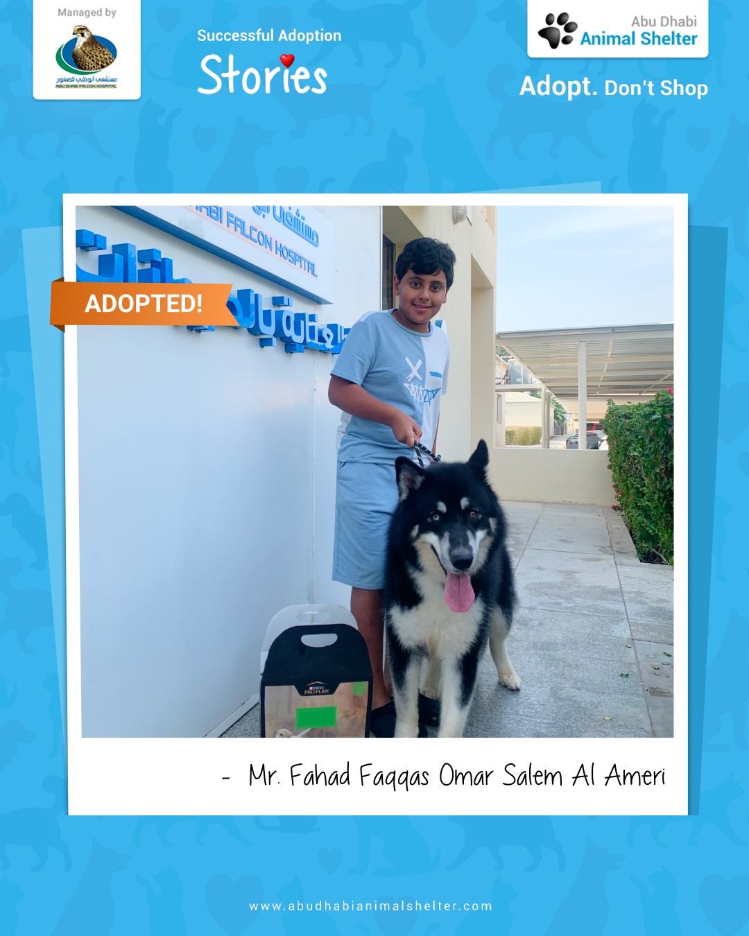 قصص سعيدة لتبني الحيوانات الأليفة لدينا