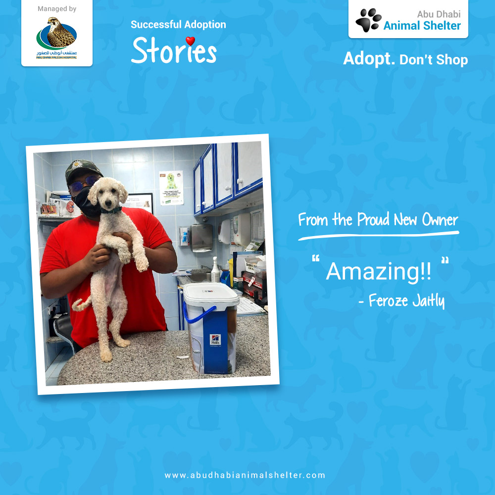 قصص سعيدة لتبني الحيوانات الأليفة لدينا