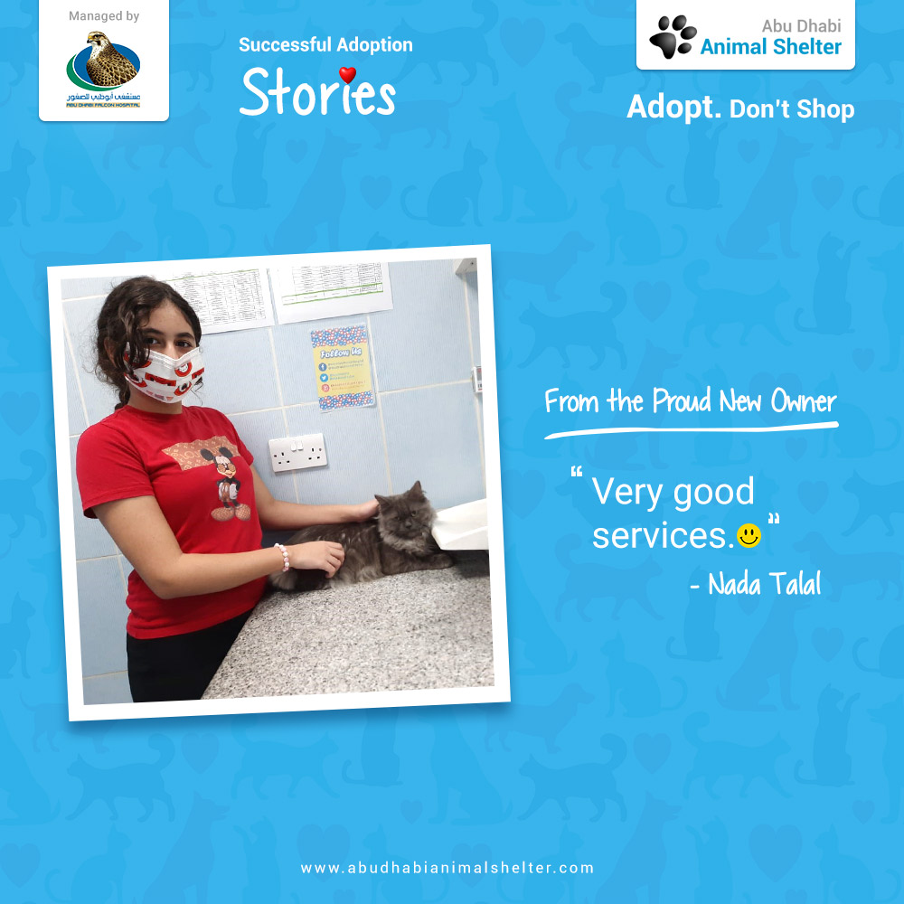 قصص سعيدة لتبني الحيوانات الأليفة لدينا