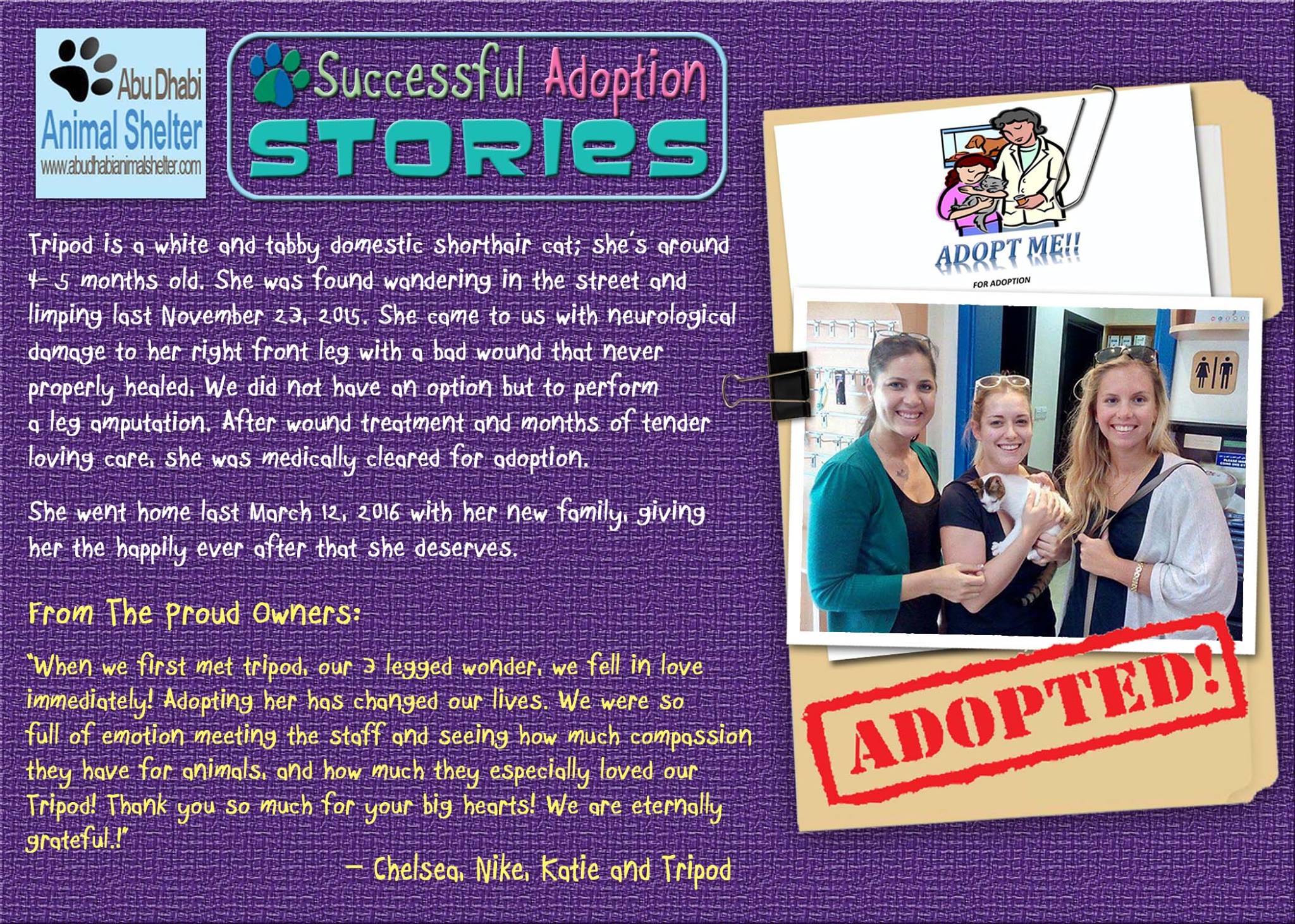 قصص سعيدة لتبني الحيوانات الأليفة لدينا