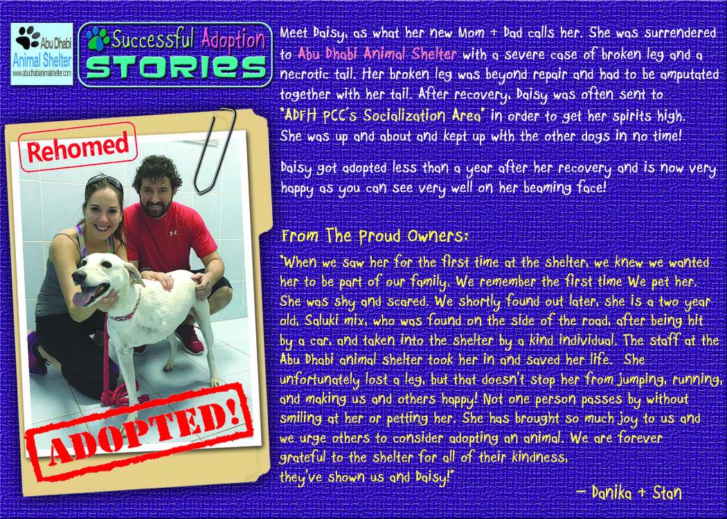 قصص سعيدة لتبني الحيوانات الأليفة لدينا