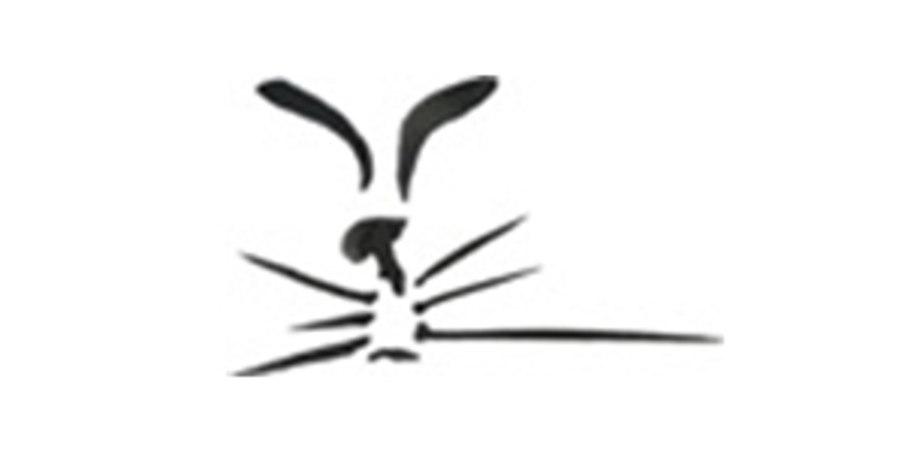 Feline Friends of Abu Dhabi