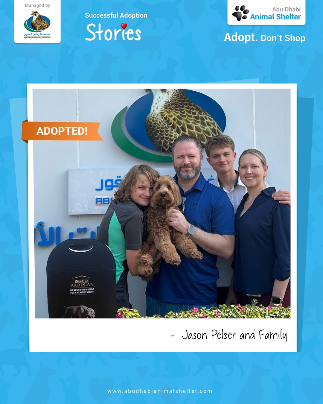 قصص سعيدة لتبني الحيوانات الأليفة لدينا