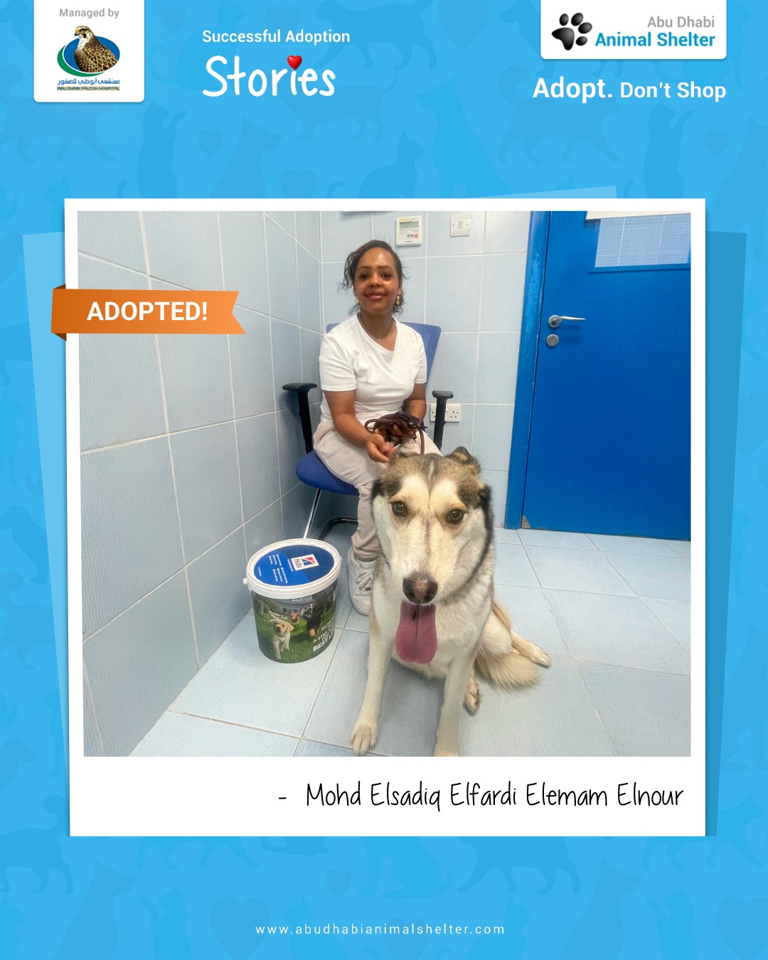 قصص سعيدة لتبني الحيوانات الأليفة لدينا