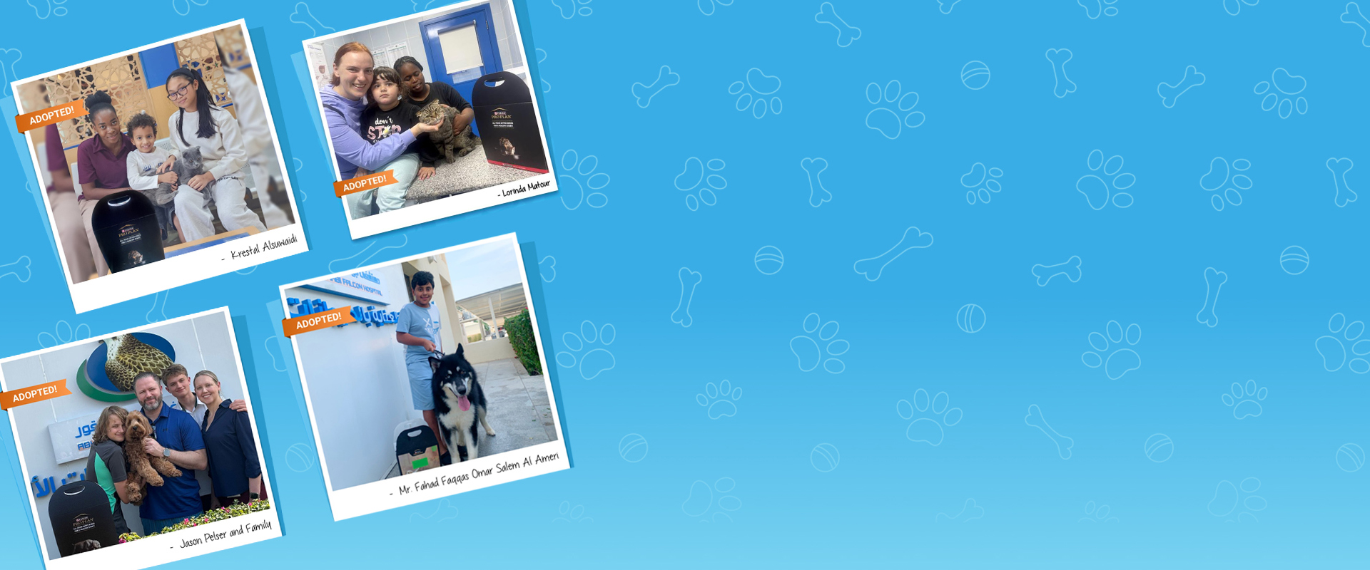 Happily Adopted Pets