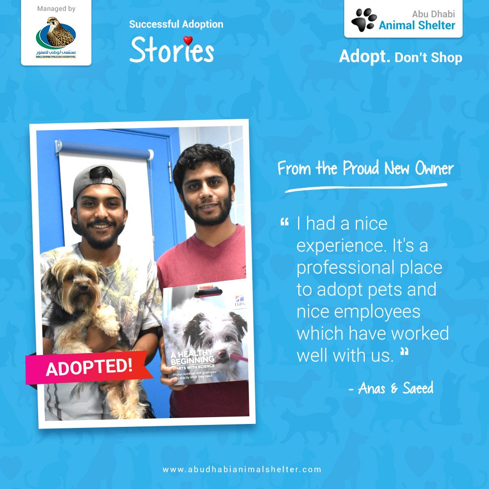 قصص سعيدة لتبني الحيوانات الأليفة لدينا